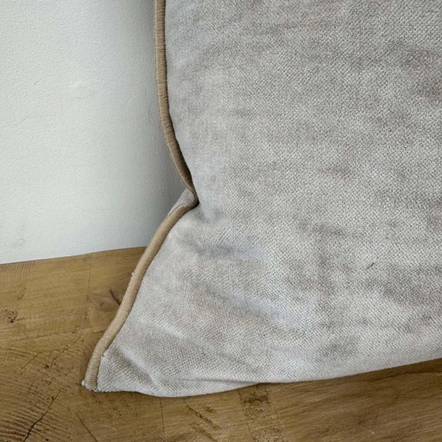European Vintage Style Ciment Velvet Accent Pillow With Down Insert For Sale - Image 4 of 5