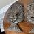 Pair Vintage Dutch Hammered Metal Wall Sconces Repousse Acanthus Floral Candle Holder For Sale - Image 4 of 7