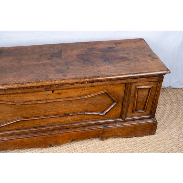 Wood 19th Century Italian Blanket Chest For Sale - Image 7 of 13