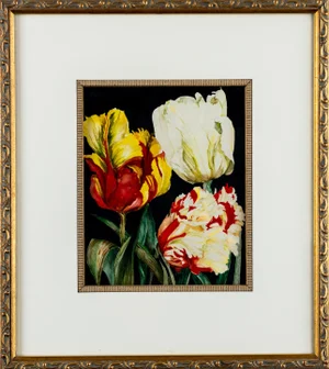 Vintage Framed Watercolor of Parrot Tulips