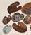 Pop Art Collection of 13 Vintage Artist’s Palettes For Sale - Image 3 of 5