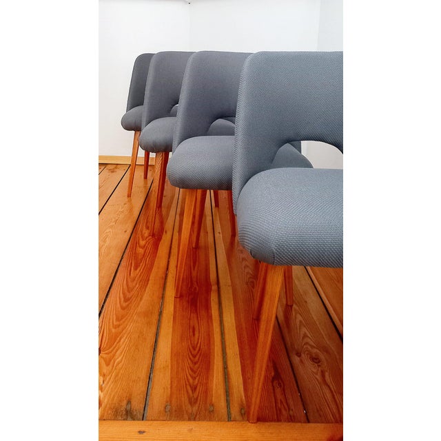 Czechoslovakian Dining Chairs attributed to O. Haerdtl for Ton, 1960s, Set of 4 For Sale - Image 10 of 18