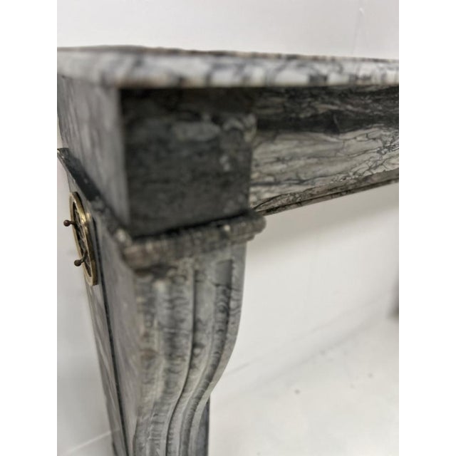Stone Napoleon III Fireplace in Blue Turquin Marble, 1800s For Sale - Image 7 of 18