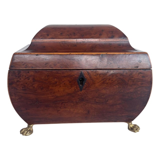 English Burr Yew Tea Caddy For Sale