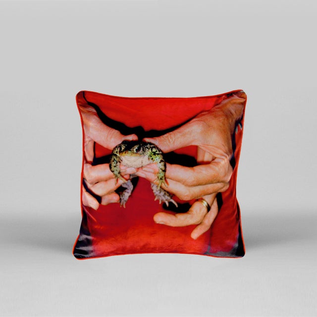 Gently Holding Frog Cushion after Mary McCartney by Henzel Studio, in New conditions. Designed from 2000 Numbered