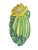 Late 20th Century Italian Majolica Hand-Painted Ceramic Zucchini Flower Serving Dish For Sale - Image 4 of 5