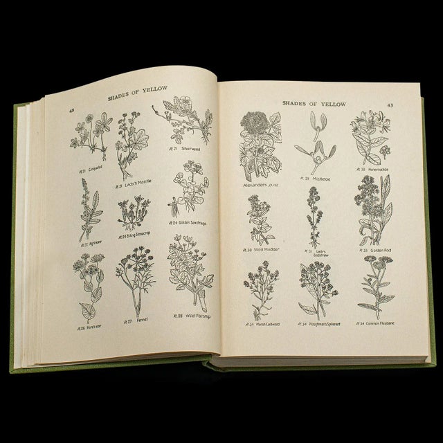 Mid 20th Century 1936's Vintage Reference Book, Wild Flowers of the Wayside For Sale - Image 5 of 12