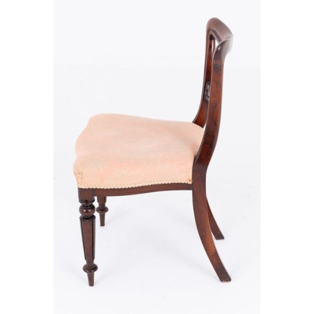 19th Century William IV Dining Chairs, Set of 8 For Sale - Image 4 of 7