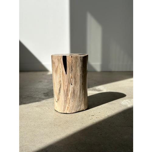 Side Table in White Petrified Wood with Black Spots For Sale - Image 5 of 18
