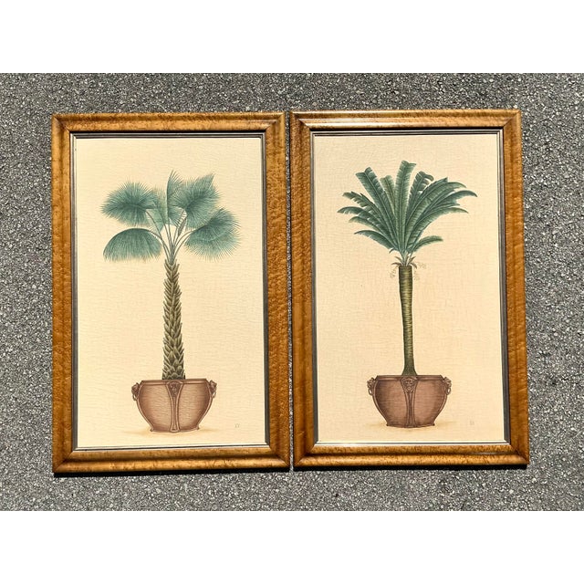 Vintage Coastal Palm Prints - A Pair For Sale - Image 4 of 12