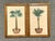 Vintage Coastal Palm Prints - A Pair For Sale - Image 4 of 12