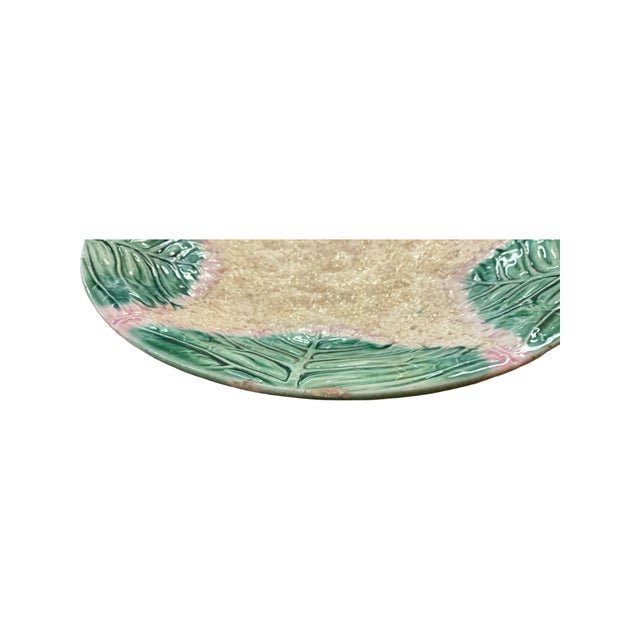 Late 19th Century Etruscan Majolica Caulifower Star Plate For Sale In Austin - Image 6 of 6