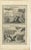 Baroque Pieter Mortier, Fire Consumes Aaron's Offering and Death of Nadab and Abihu, 1700, Engraving For Sale - Image 3 of 12