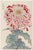 Vintage Red & White Chrysanthemum by Hasegawa, Japanese Botanical Art Print For Sale