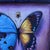 Hybrid Butterfly 55 by Stacy D'Aguiar | Acrylic on wood of a butterfly with blue and yellow wings For Sale - Image 4 of 5