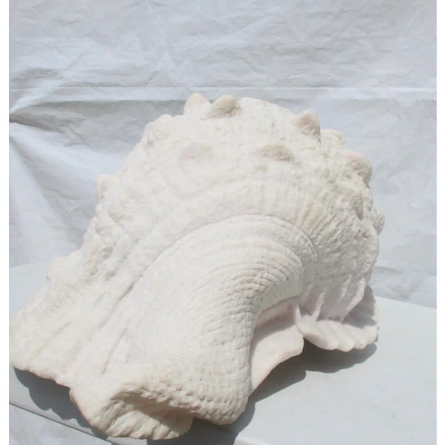 Plastic Lamp of Giant Conch Seashell Cast Resin Sculpture For Sale - Image 7 of 10