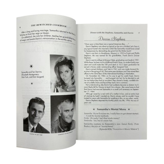 Blue The Bewitched Cookbook: Magic in the Kitchen by Kasey Rogers & Mark Wood 1996 For Sale - Image 8 of 12