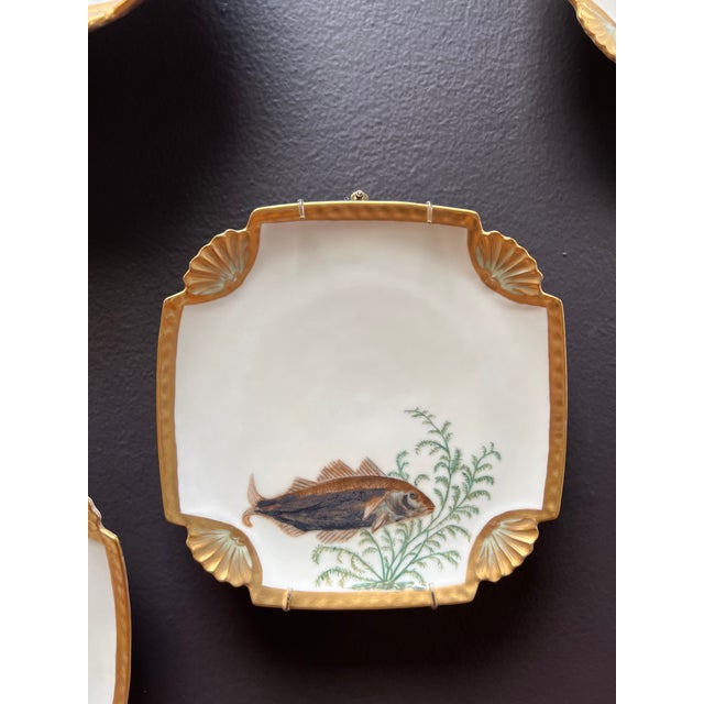 Antique Hand Painted Fish Plates Set 11 Pieces Chairish