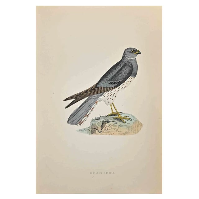 Alexander Francis Lydon, Montacu's Harrier, Woodcut Print, 1870 For Sale