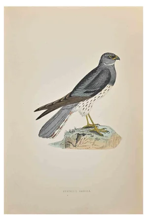 Alexander Francis Lydon, Montacu's Harrier, Woodcut Print, 1870