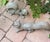 Vintage Ceramic Squirrels Life Size - A Pair For Sale In Miami - Image 6 of 10