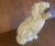 A collector’s dream; a large basket Staffordshire dog available.