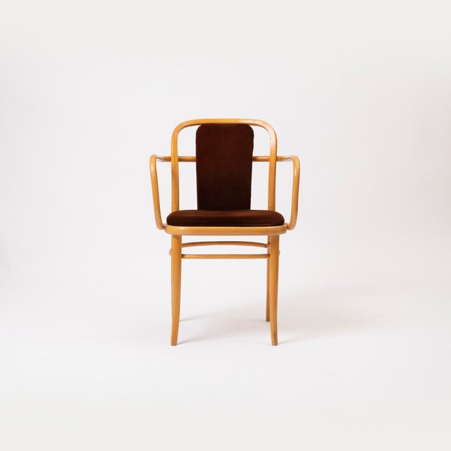 1960s Vintage Bentwood Chairs in Brown Velvet by Ton, 1960s, Set of 4 For Sale - Image 5 of 13