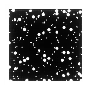Contemporary Abstract Silver Gelatin Print Photography "Radius" by Tenesh Webber