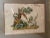 Textile Antique 1800's European Figural Dog Bird Landscape Needlepoint Sampler Art Frame For Sale - Image 7 of 12