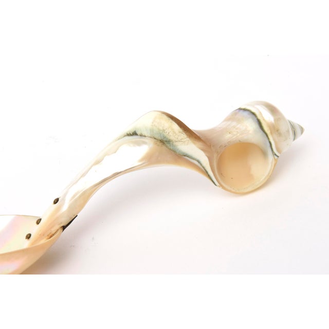 Shell Vintage Coastal Mother of Pearl Organic Modern Twisted Serving Spoon 1980's For Sale - Image 7 of 10