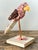 Vintage Boho Shell Encrusted Bird on a Perch For Sale In West Palm - Image 6 of 8