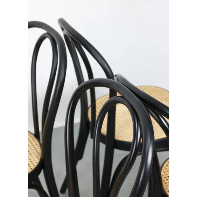 Bentwood No. 218 Chairs, Set of 2 For Sale - Image 10 of 18