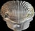 Vintage Mid Century w.m Rogers Silverplate Scallop Clam Shell Tray With Serving Dish For Sale In Miami - Image 6 of 9