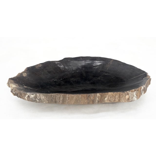 Early 21st Century Petrified Wood Heart Shape Solid Black Elongated Bowl Dish Large Plate Ashtray For Sale - Image 5 of 8