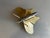Brass Moth Insect Handmade French 2 X 4 For Sale - Image 13 of 16