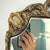 Early 20th Century 1930’s Wood & Gesso Etched Mirror - Leaf and Medallion Motif For Sale - Image 5 of 12