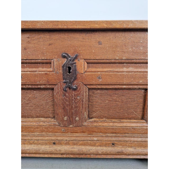 Brown Brutalist Trunk in Oak, 1800 For Sale - Image 8 of 18