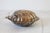 Vintage Silver-Plated Shell Butter Dish & Caviar Server With Frosted Glass Liner For Sale - Image 12 of 12