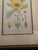 Mid-Century Framed Mark Catesby "Gordonia Loblolly Bay" Botanical Print, Coffey & Thompson For Sale - Image 10 of 12