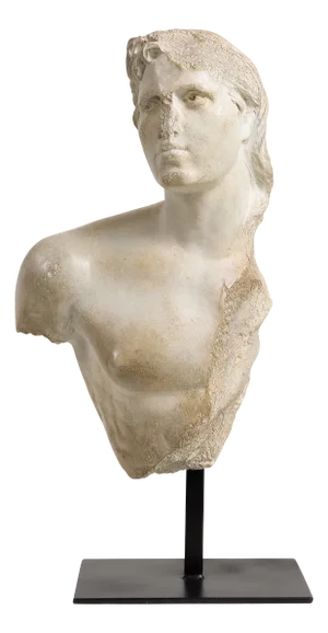 Basil Bust on Stand from Pure White Lines