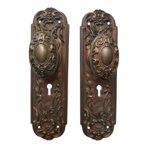 American Art Nouveau French Renaissance Bronze Door Knobs and Backplates