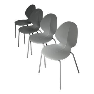 Basil Dining Chairs from Calligaris, Set of 4 For Sale