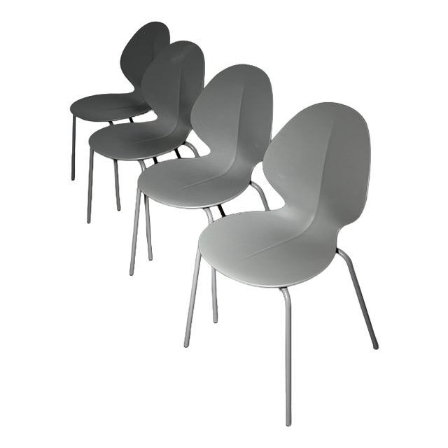 Basil Dining Chairs from Calligaris, Set of 4 For Sale