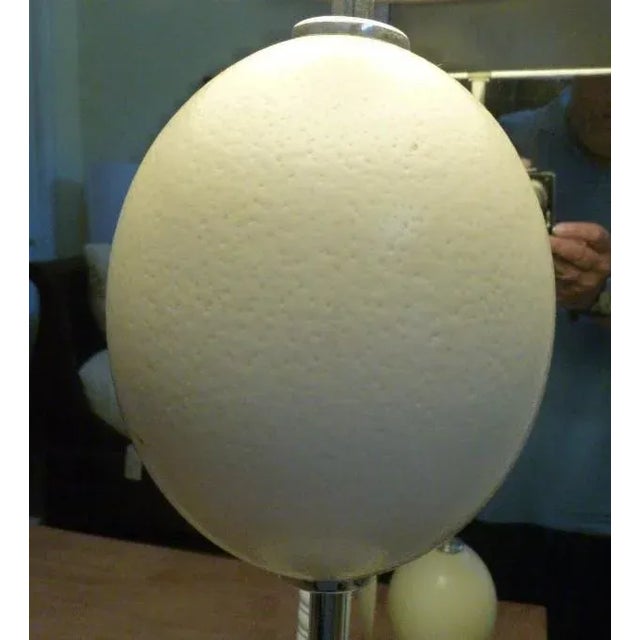 Contemporary 3 Ostrich Egg & Chrome Lamp For Sale - Image 3 of 7