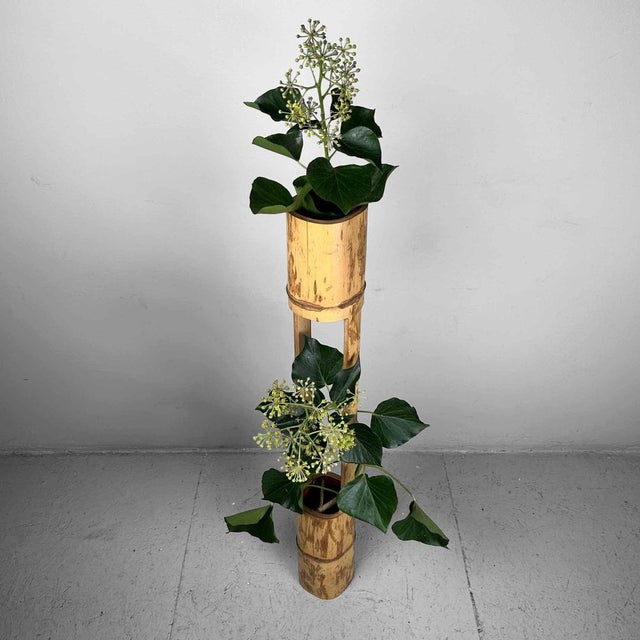 Mid-Century Bamboo Ikebana Ni-Ju-Giri Vase, Japan, 1950s