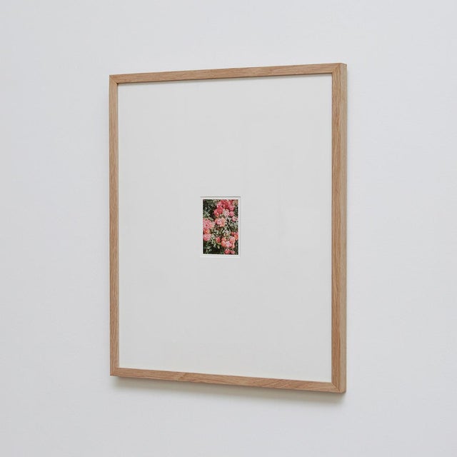 The Rose Garden Nº 47 Print by David Urbano, 2018 For Sale - Image 9 of 9