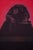 Claude HASTAIRE (Claude HILAIRE, known as) (1946-2020) Egypt, The Pink Sphinx Original color lithograph Signed in pencil...
