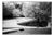 Paul Cooklin, Park, Edition of 50 For Sale