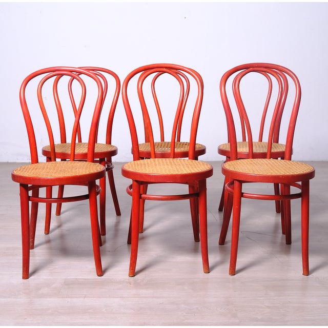Vienna Straw Chairs in the style of Thonet, 1970s, Set of 6 For Sale - Image 14 of 14