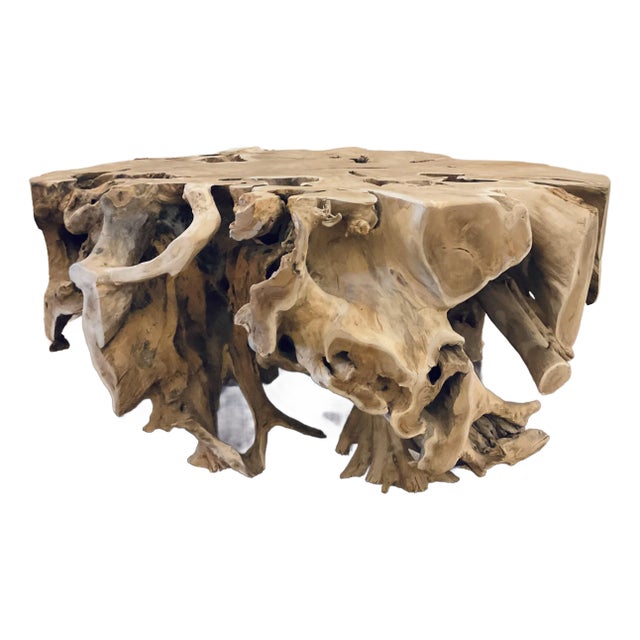 Organic Modern Teak Root Ball Cocktail Table For Sale